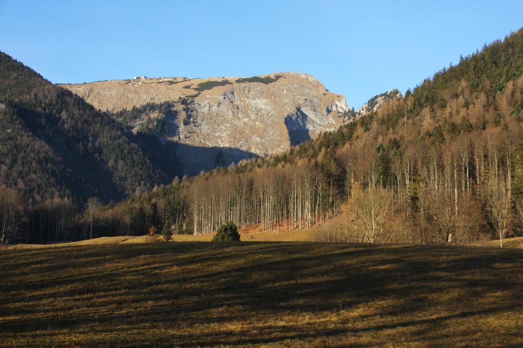 Haus Seeschwalbe Saint Wolfgang Kültér fotó